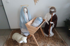 IMG_20241220_101623