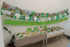 25_IMG_20241119_120701