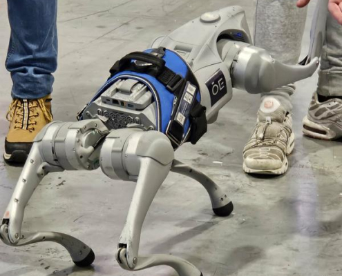 08_f6ad3c70-5299-4a5d-a512-0f1317a616a9_resized